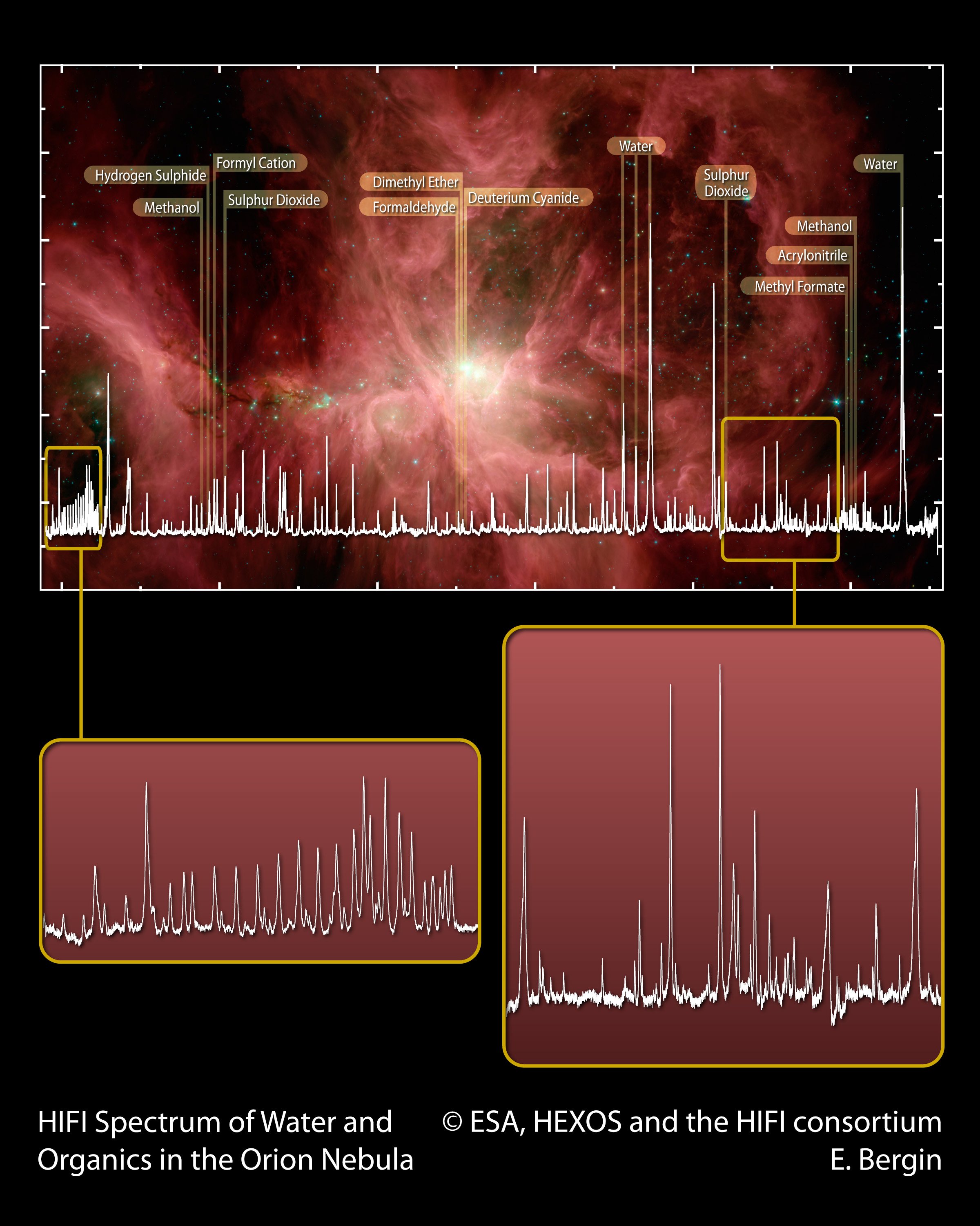 Spectre HIFI de l'eau et de molécules organiques dans la Nébuleuse d'Orion