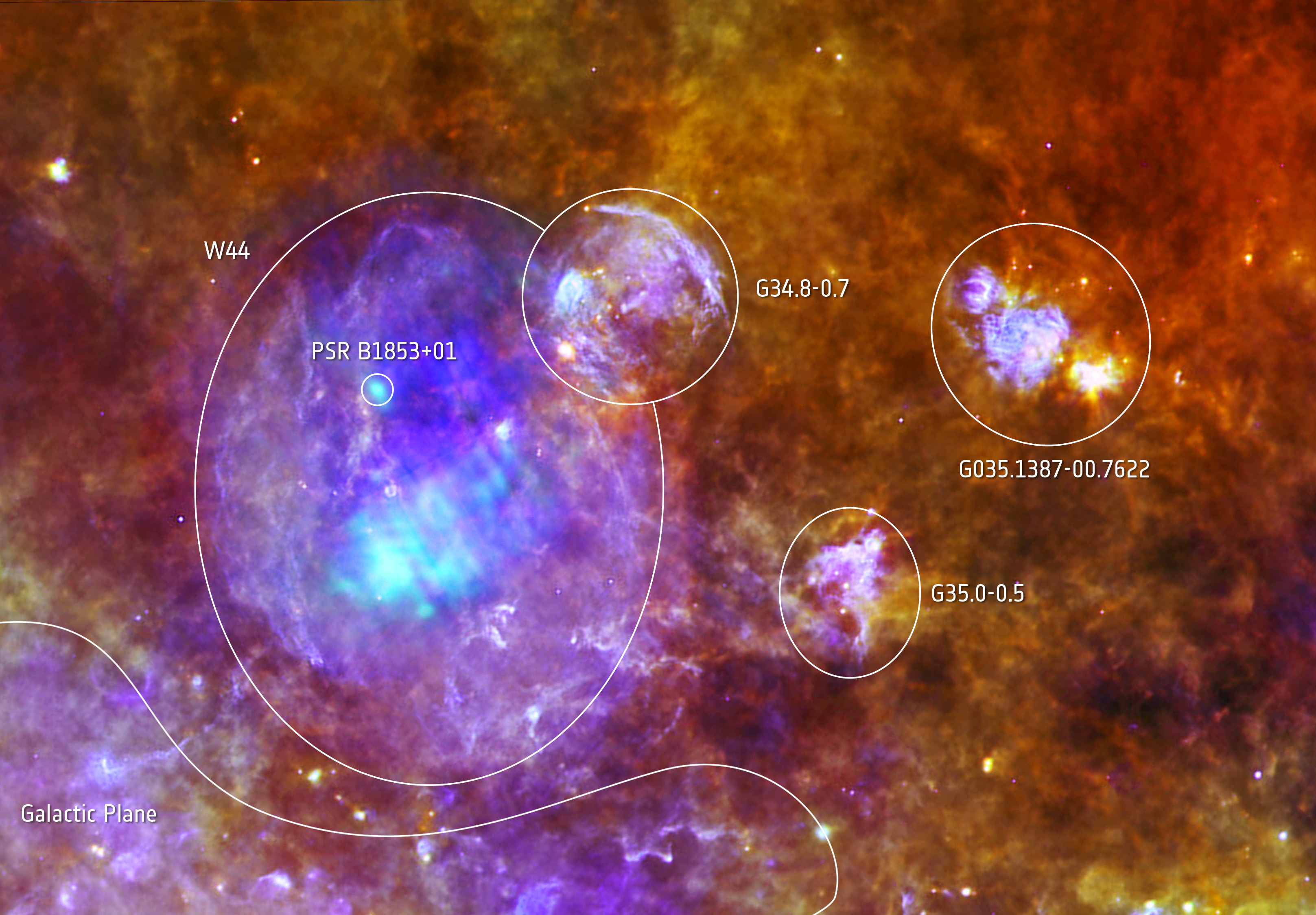  Life and death in a star-forming cloud