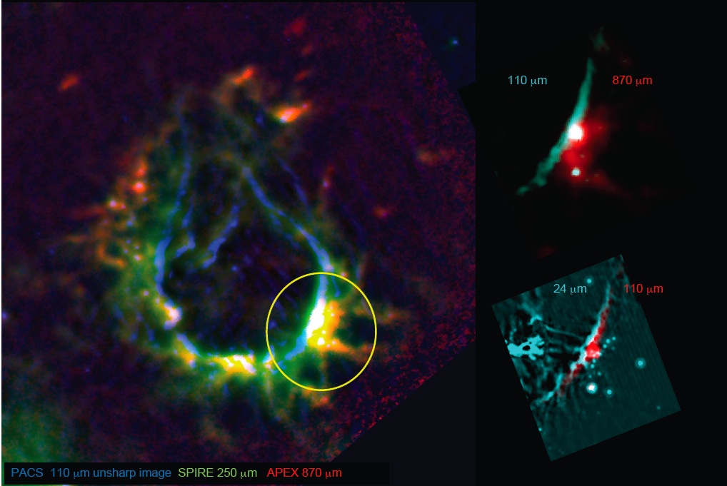 La formation stellaire induite