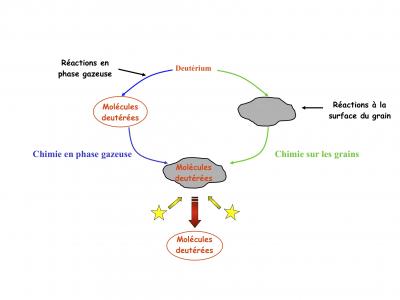 Deutérium: du Big Bang à la chimie interstellaire 
