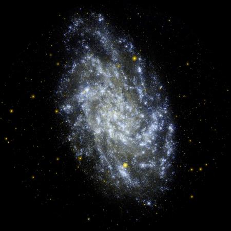 M33: une galaxie voisine encore jeune