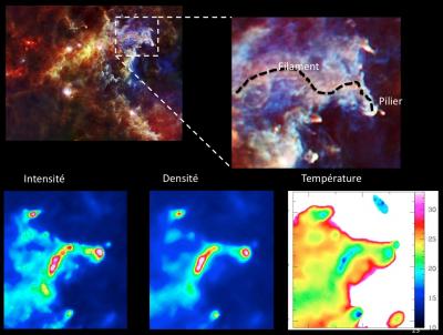 Les piliers de la création revisités par Herschel