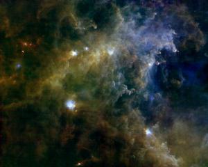 Herschel imaging survey of OB Young Stellar objects