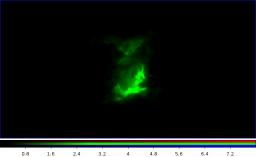 Le nuage moléculaire de Vela-C