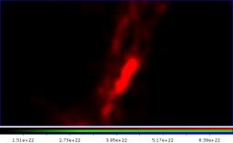 Le nuage moléculaire de Vela-C