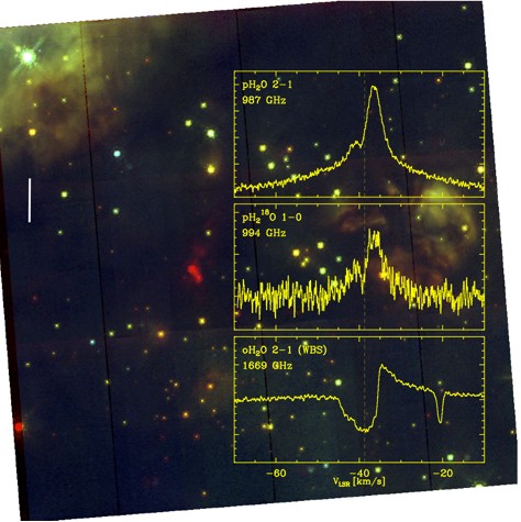 En image: l'eau au sein des étoiles géantes