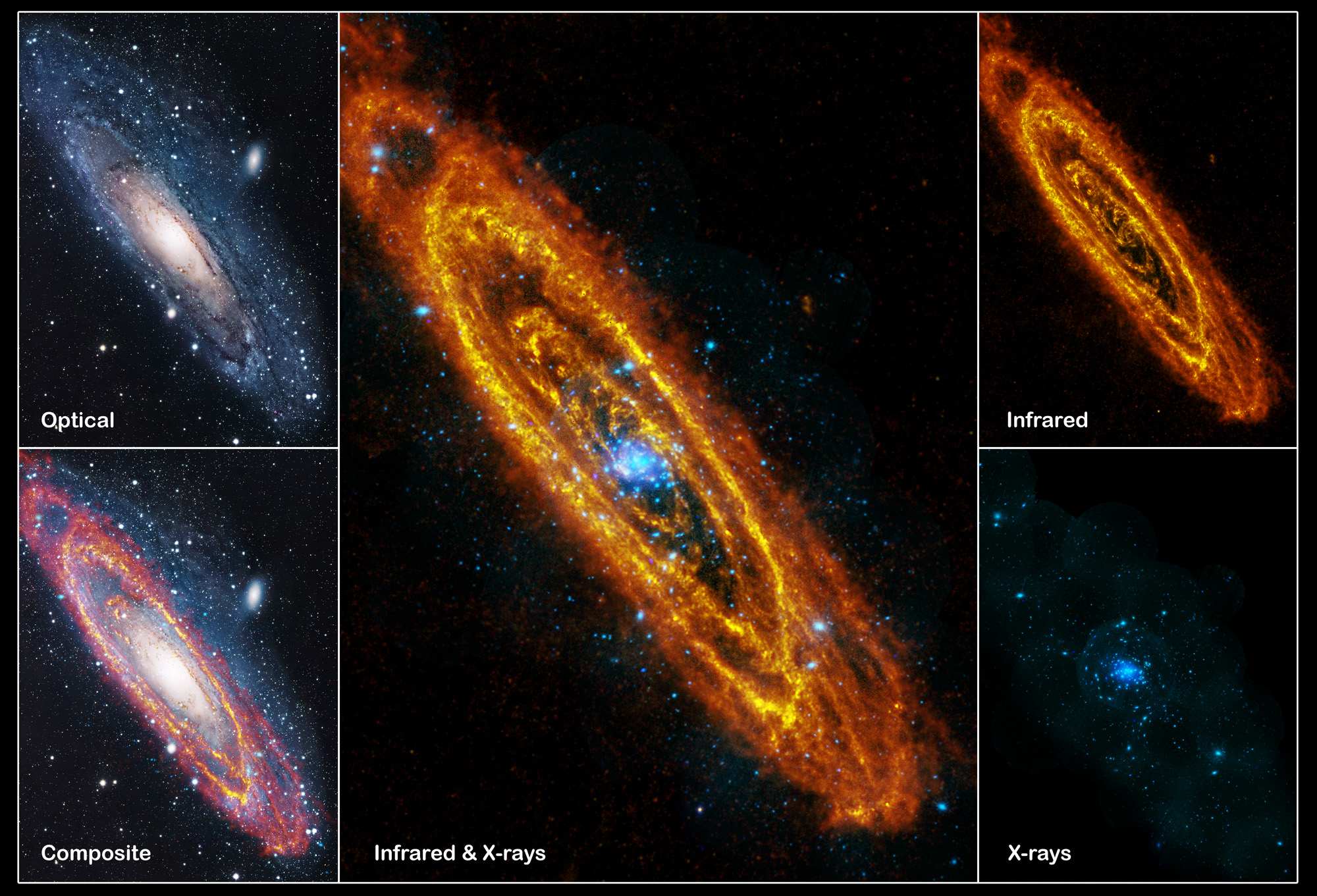 Naissances et morts d'étoiles dans la Galaxie Andromède