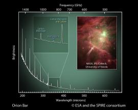 Une forêt de carbone dans Orion