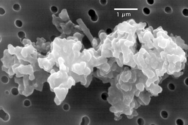 Image au microscope électronique d’un aggrégat de grains de poussière interplanétaires. Crédit : Don Brownlee and Elmar Jessberger