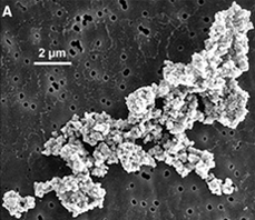 Grain de poussière interplanétaire récupéré par la mission Stardust. La forme très irrégulière peut être typique dans le milieu interstellaire froid. Crédit : https://publicaffairs.llnl.gov